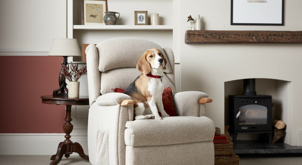 Pet-Friendly Sofas: Your Ultimate Buying Guide