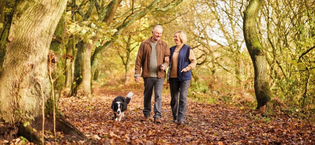 The best autumn walks around the UK