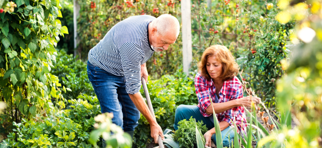 Gardening for health: Discover benefits to gardening