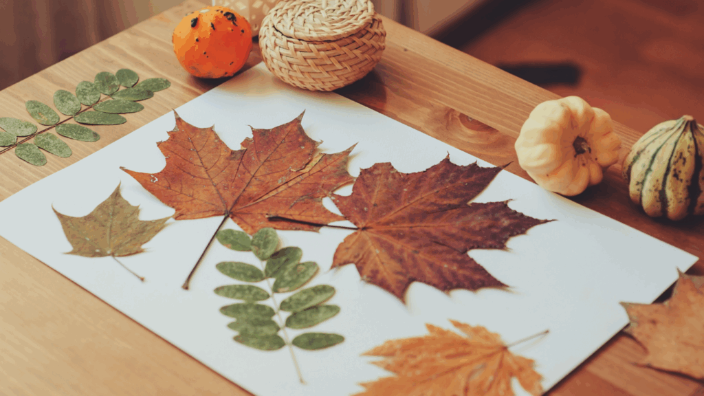 Autumn crafts to enjoy with the grandkids