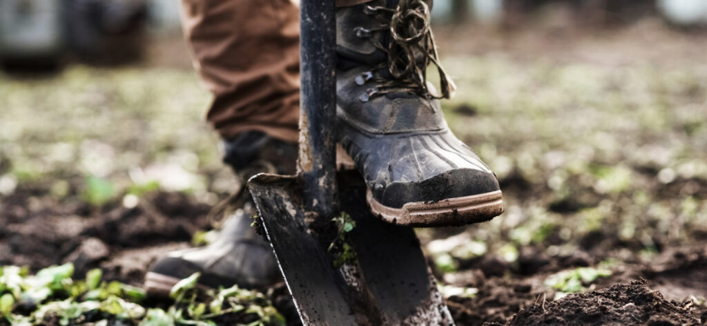 Get started with organic gardening